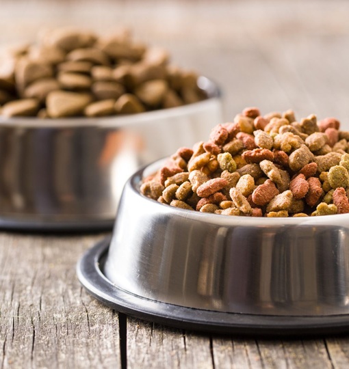 Pet Food Industry in India