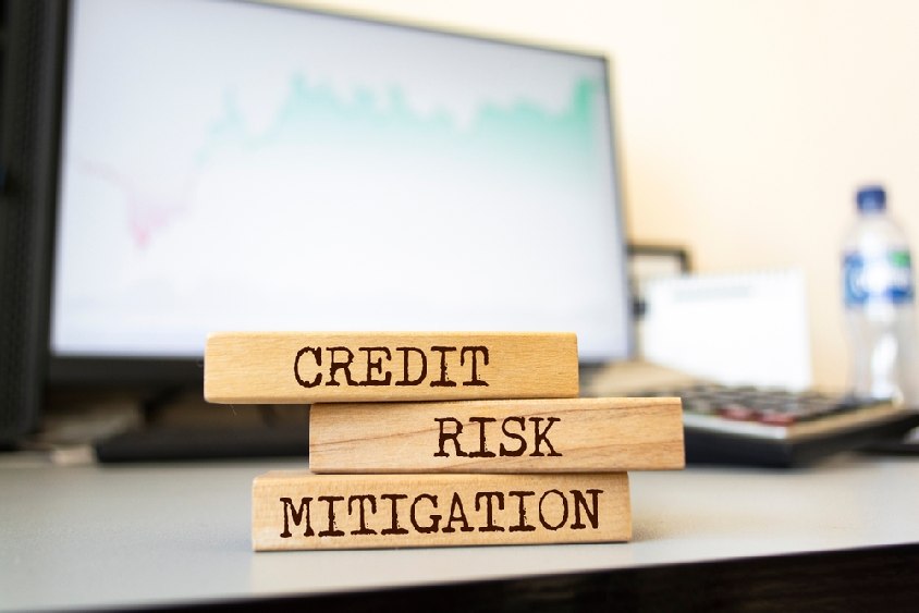 Credit Risk Scoring Tool: Moving Beyond Compliance To Strategic Credit Risk Management