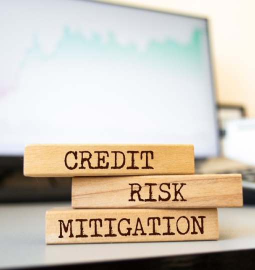 Credit Risk Scoring Tool: Moving Beyond Compliance To Strategic Credit Risk Management