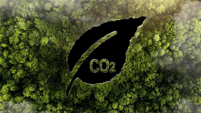 Decarbonizing the Supply Chain-Bridging the gap to Net-Zero