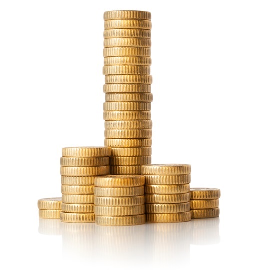 Introduction to Public Finance