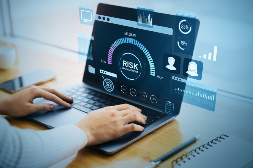 Optimizing Credit Risk Models Through Risk Consulting Services