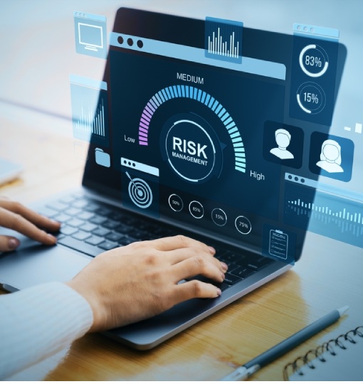 Optimizing Credit Risk Models Through Risk Consulting Services