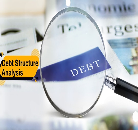 Debt Structure Analysis